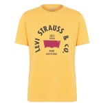 리바이스-릴렉스 그래픽 티셔츠 Relaxed Graphic T-Shirt Riverside 59961318 | 트렌비 리바이스-릴렉스 그래픽 티셔츠... 