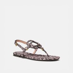 코치-샌들 제리 Jeri Sandal G5192-PTP | 트렌비 코치-샌들 제리 Jeri Sandal G5192-PTP | 트렌비 | www.trenbe.com