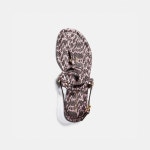 코치-샌들 제리 Jeri Sandal G5192-PTP | 트렌비 코치-샌들 제리 Jeri Sandal G5192-PTP | 트렌비 | www.trenbe.com