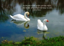 2/23 존중과 경의 (227명 참여중) | 오르비 2/23 존중과 경의 (227명 참여중) - 오르비