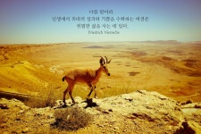 6/15 나를 믿어라 (147명 참여중) | 오르비 6/15 나를 믿어라 (147명 참여중) - 오르비