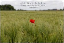 3/14 혼자라는 것 (402명 참여 중) | 오르비 3/14 혼자라는 것 (402명 참여 중) - 오르비