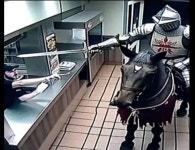 부기햄북 햄북어 햄북스딱스 | 오르비 부기햄북 햄북어 햄북스딱스 - 오르비