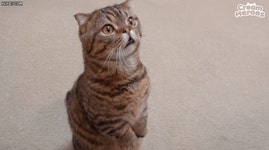 귀여운 루루 | 오르비 귀여운 루루 - 오르비