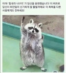 괜히 너굴맨되서 | 오르비 괜히 너굴맨되서 - 오르비