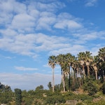 제주) 도서관가는길에 | 오르비 제주) 도서관가는길에 - 오르비