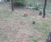 ㅇㅈ | 오르비 ㅇㅈ - 오르비