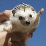 오늘 수강신청임 | 오르비 오늘 수강신청임 - 오르비