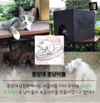전국 대학교별 마스코트 동물 | 오르비 전국 대학교별 마스코트 동물 - 오르비