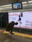 보일랑 말랑~ | 오르비 보일랑 말랑~ - 오르비