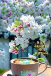 22211 중앙대 상경 | 오르비 22211 중앙대 상경 - 오르비