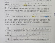 생2 코돈 질문 받아주실 분 | 오르비 생2 코돈 질문 받아주실 분 - 오르비