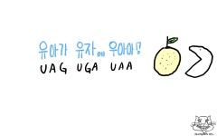 [생2] 코돈 암기법 최종! | 오르비 [생2] 코돈 암기법 최종! - 오르비