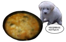 대체 이건 밥이여 아이스크림이여 | 오르비 대체 이건 밥이여 아이스크림이여 - 오르비