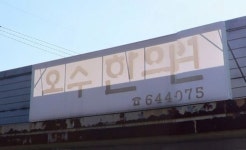 오수 의 치 한 - 오르비