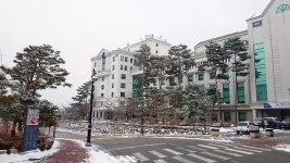 와... 한양대 상경 논술 붙었어요 | 오르비 와... 한양대 상경 논술 붙었어요 - 오르비