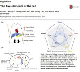 세포에도 음양오행이 있다고 합니다 | 오르비 세포에도 음양오행이 있다고 합니다 - 오르비