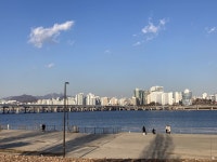 내년엔 잘될거야 아마두 | 오르비 내년엔 잘될거야 아마두 - 오르비