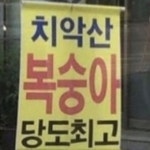치악산복숭아당도최고 | 오르비 치악산복숭아당도최고 - 오르비