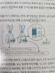 발음이아슬아슬 | 오르비 발음이아슬아슬 - 오르비