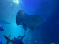 제주도에서 좋은 사진 건짐 | 오르비 제주도에서 좋은 사진 건짐 - 오르비