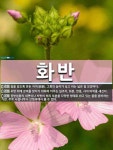 화반이 누구신지 궁금하신 분들을 위해. | 오르비 화반이 누구신지 궁금하신 분들을 위해. - 오르비
