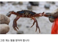 연대 빵 맞다고 생각하는게 | 오르비 연대 빵 맞다고 생각하는게 - 오르비