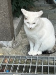 아까 약국갈때 | 오르비 아까 약국갈때 - 오르비