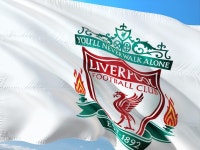 핫도그 토) EPL 20R 토트넘 홋스퍼 VS 리버풀 (마감) | 오르비 핫도그 토) EPL 20R 토트넘 홋스퍼 VS 리버풀 (마감) - 오르비