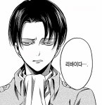 리바이가 좋은 이유 - 오르비