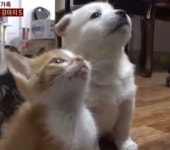 제 재수 전략 어떻게 생각하시나요 | 오르비 제 재수 전략 어떻게 생각하시나요 - 오르비