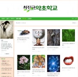한약에 대한 오해 | 오르비 한약에 대한 오해 - 오르비