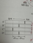 순수 한글 작업 2탄 ㅁㅌㅊ | 오르비 순수 한글 작업 2탄 ㅁㅌㅊ - 오르비