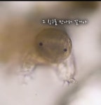물곰간식뺏기 1일차 | 오르비 물곰간식뺏기 1일차 - 오르비
