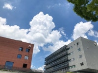 서울시립대학교 모습 (데이터주의) | 오르비 서울시립대학교 모습 (데이터주의) - 오르비