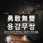 Korean 왕자지 ㅇㅈ | 오르비 Korean 왕자지 ㅇㅈ  - 오르비