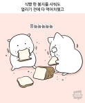 오늘 아침 뭐 먹을까요? | 오르비 오늘 아침 뭐 먹을까요? - 오르비