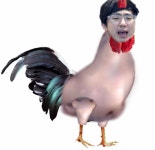 코코닭치킨 | 오르비 코코닭치킨 - 오르비