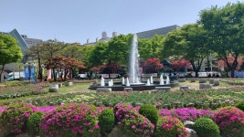 우리학교 나름 소박하게 이쁨,, | 오르비 우리학교 나름 소박하게 이쁨,, - 오르비