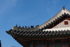 (칼럼) 사진 초보를 위한 가이드(보정편) | 오르비 (칼럼) 사진 초보를 위한 가이드(보정편) - 오르비
