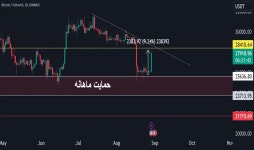undo7376 — Trading Ideas and Scripts — TradingView 