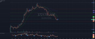 윤성에프앤씨 - T.A 트레이딩 마이너 갤러리