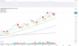 Invesco DB US Dollar Index Bullish Fund Trade Ideas — AMEX:UUP — TradingView