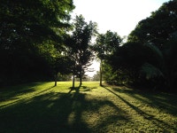 Trader AleGo1 — Trading Ideas & Charts — TradingView Trader AleGo1 — Trading Ideas & Charts