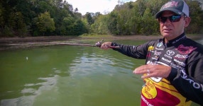 Flipboard의 Reading