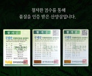 [고급선물포장]심봤다 삼 산양산삼 산양삼 장뇌삼 선물세트 15뿌리 | 농업회사법인 주식회사 사그담 - 예스24
