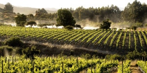 패키지>상품상세>SWV007KE20>[모두투어/영트립 단독] 리치형 중남미 7개국 20일 2025-11-23 SWV007KE20