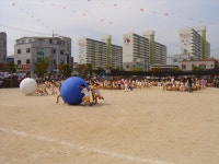 사진<학교행사갤러리<칠금소식<칠금초등학교 칠금초등학교