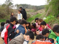 학교앨범