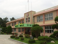 교육활동앨범<학교소식<도안초등학교 도안초등학교